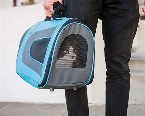 carriers for cats.